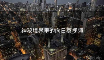 神秘境界里的向日葵视频