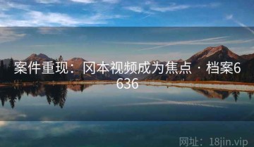 案件重现：冈本视频成为焦点 · 档案6636