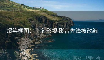 爆笑梗图：丁冬影视 影音先锋被改编