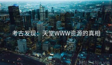 考古发现：天堂WWW资源的真相