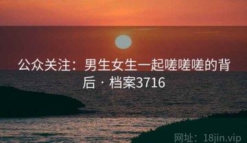 公众关注：男生女生一起嗟嗟嗟的背后 · 档案3716